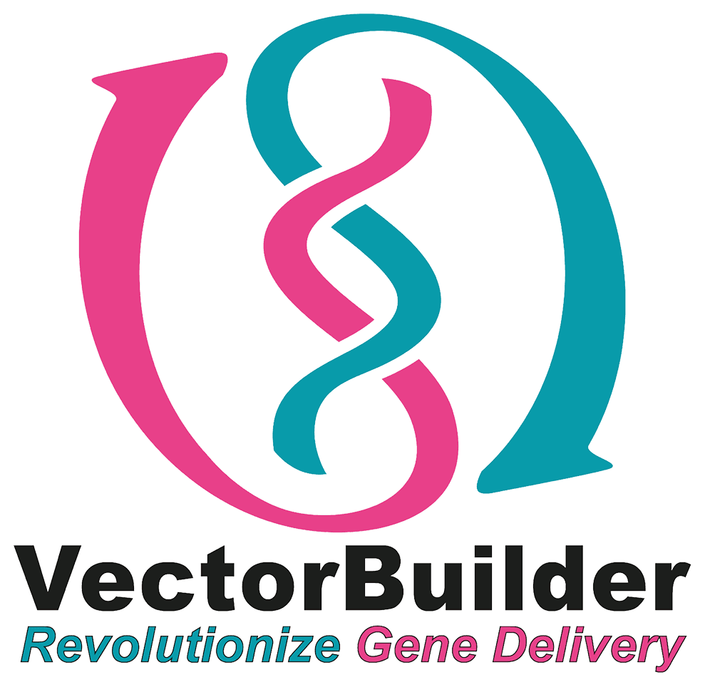VectorBuilder