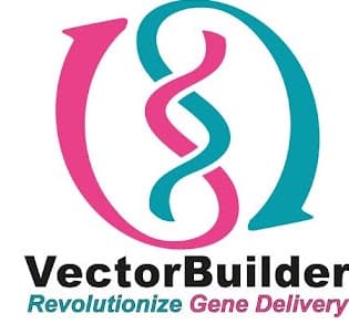 VectorBuilder
