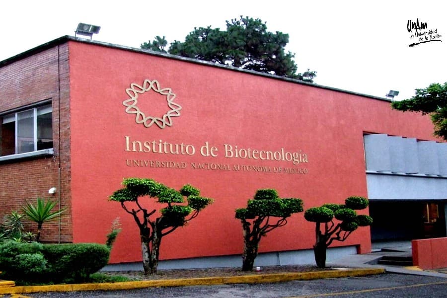 Fachada del Instituto de Biotecnología de la UNAM, en Cuernavaca, con el nombre del instituto rotulado en el muro.